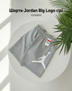 Мужские шорты Jordan Big Logo серые - летние хлопковые Джордан без флиса, размер S - изображение 1
