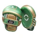 Лапи для бокса Rival RPM100 Professional Punch Mitts (RPM100-Green/Gold) - изображение 1