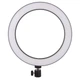 Кольцевая светодиодная LED лампа Flat Ring 8" черная - изображение 1