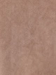 Рубашка женская Colin's CL1075720CML XS Camel (8684112814049) - изображение 6