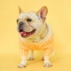 Свитер для собак PetCircle широкая безжевая вязка, оранжевый L Petcircle Summer 000354949 - изображение 3