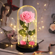 Троянда в колбі з LED підсвічуванням на чорній підставці - зображення 1