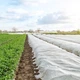 Агроволокно Agreen 23 (1,6х5) Біле 006847 - зображення 11