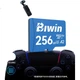 Карта памяти BIWIN TF (MicroSD) 256 ГБ, MS210, скорость чтения 210 МБ/с, совместима с DJI Pocket 3/Action 5/дроном/экшн-камерой. - изображение 1
