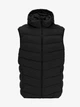 Куртка без рукав однотонна чоловіча GENUA G01201-0021 8XL Чорний shop (2000999637599) - изображение 1
