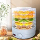 Сушарка для овочів та фруктів 1550 Вт 5 секцій Styleberg FD1465 - зображення 4