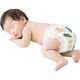 Подгузники-трусики Little Prince Silky Luxury размер XL, 28 штук, 12-17 кг - изображение 1
