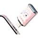 Флеш пам'ять USB HP 32GB USB 3.2 Gen1 Pink вест-хайленд, перехідник Lightning - зображення 1