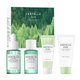 Набор SKIN1004 Madagascar Centella Tea-Trica Travel Kit для успокоения и себорегуляции кожи 110 мл - изображение 1