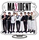 Акриловый стенд фигурка Stray Kids Стрей Кидс Maxident - изображение 2