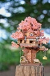3D дерев'яний конструктор Будиночок на сакурі Rolife Sakura Tree House TGS-04 механічний пазл 535 деталей - изображение 10