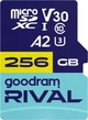 Карта пам'яті GOODRAM 256 GB microSDXC Rival (GGSM2AA-2560R12) - зображення 1