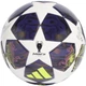 Мяч футбольный ADIDAS UCL MINI JX9099 размер 1 сувенирный - изображение 2