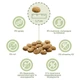 Сухой корм с белком насекомых для взрослых собак всех пород Mera Pure Sensitive Dog Adult Insect Protein, 4 кг - изображение 2