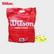 М'ячі тенісні Wilson WRT136000 тренувальні без тиску, 60 шт - зображення 4