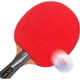 Ракетка для настольного тенниса DOUBLE FISH Qilin 4-Star High-End Competition Racket с короткой ручкой, для игры хватом «перо», универсальная, для атакующих игр. Qilin Blue - одинарная ракетка для игры хватом «шейкхэнд». - изображение 2