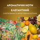 Капсули Nespresso Lavazza Oro лавацца оро 10 шт алюміній - зображення 5