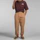 Штаны The North Face M TNF Nylon Easy Pant Almond Butter, размер L - изображение 3
