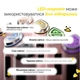 Пристрій для домашнього догляду за шкірою 6 в 1 Medicube AGE-R Booster Pro X2 White - зображення 3