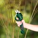 Секатор аккумуляторный Parkside 4 В с литий ионным аккумулятором 4 Ач для обрезки побегов до 14 мм с USB C кабелем и эргономичной ручкой - изображение 6