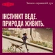 Влажный корм для собак с индейкой, олениной и кабаном Carnilove Turkey & Reindeer & Wildboar, 400 гр - изображение 4