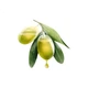 Подгузники-трусики Jiaying Olive Luxury Pull-Up, размер XL, 64 шт (8-14 кг), ультратонкие, тренировочные - изображение 1