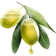Подгузники Jiaying Olive ультратонкие размер XL, 68 шт, 12-17 кг - изображение 1