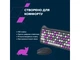 Клавіатура + миша бездротова Canyon HSET-W6 Kitty Edition Violet (CNS-HSETW6VT) - зображення 8