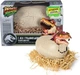 Интерактивная игрушка Spin Master Primal Hatch Hatching Dinosaur (681147057821) - изображение 2