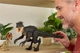 Фигурка Динозавр Дилофозавр Мир Юрского периода Jurassic world Dilophosaurus Dinosaur Hammond Collection JKM93 Mattel - изображение 4