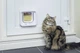Умная дверца для котов и собак SureFlap Microchip Cat Flap Connect iDSCFWTB1 с Hub, управление через приложение без брелков чипов - изображение 3