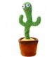 Кактус танцюючий-співаючий Dancing Cactus - изображение 1