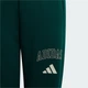Детские джоггеры Seasonals Collegiate Typography Junior adidas KS5129 (140) зеленый (4069996405813) - изображение 3
