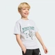 Детская футболка ADIDAS MINECRAFT adidas KS9033 (122) серый (4069996813502) - изображение 4