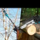 Набор аккумуляторного инструмента мини-пилы KRAISSMANN 2033 AKS-BL 20 секатор KRAISSMANN 40 AGS-BL 20 удлинитель 2.0м(безщеточный мотор шина 200 мм. два аккумулятора 8Ач. зарядный удлинитель 2.0м) - изображение 13