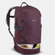 Туристический Рюкзак QUECHUA Arpenaz500 20л 45 х 25 х 15 см Бордовый - изображение 8