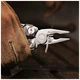 Мультитул Xiaomi NexTool Flagship Сaptain Multifunctional Knife Silver (NE20214) Xiaomi NE20214 1002921 - зображення 5