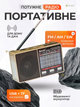 Аккумуляторный портативный радиоприемник FM AM SW с USB microSD и LED-фонарем, радио от батареек и сети для дома и дачи золотистый - изображение 1