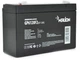 Аккумуляторная батарея MERLION AGM 6 V 12Ah (GP6120F2) - изображение 1