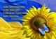 Квартальный календарь на 2027 год «Любите Украину» - изображение 2