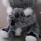 Плюшевая Коала с детенышем 28 см 2 пушистые мягкие игрушечные коалы серые, набор игрушек Koala с малышом - изображение 3