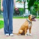 Повідець-рулетка для собак WAUDOG R-leash з контейнером для пакетів і світловідбивною стрічкою L до 40 кг 5 м чорний (26291) - зображення 2