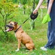 Повідець-рулетка для собак WAUDOG R-leash з контейнером для пакетів і світловідбивною стрічкою L до 40 кг 5 м чорний (26291) - зображення 6