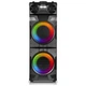 Портативная колонка REAL-EL S2010B 1000W Black - изображение 5