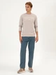 Свитшот мужской U.S. Polo Assn G081SZ082-000-2303161(Taş) 3XL Бежевый с принтом (8683859425532) - зображення 3