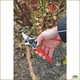 Секатор Felco 11 швейцарское качество для точной обрезки - изображение 5