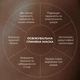 Комплекс для уменьшения отеков и восстановления микроциркуляции кожи: Гель, Глиняная маска, Сыворотка Hillary K-11-919 - изображение 11