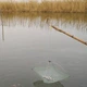 Малявочница Sams Fish 60 х 60 см (SF24053) - изображение 6