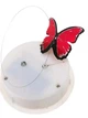Декоративный ночник Бабочка в банке Butterfly - изображение 3