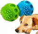 Zabawka dla psa HILTON Squeak Ball Piłeczka piszcząca 6.3 cm 104-404012-00 (5902205065882) - obraz 2
